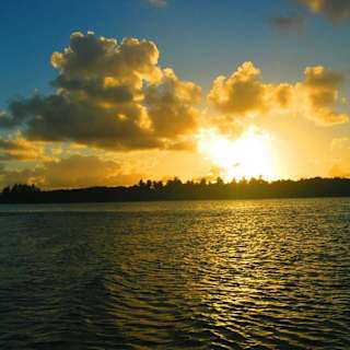 Experiência com Guia de Turismo