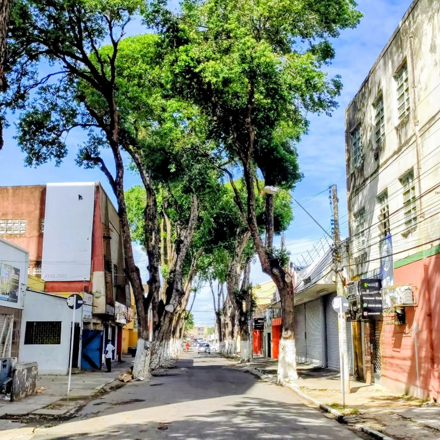 CITY TOUR MACEIÓ