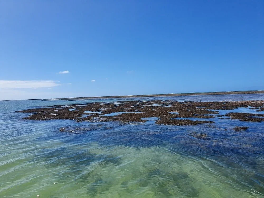 SÃO MIGUEL DOS MILAGRES