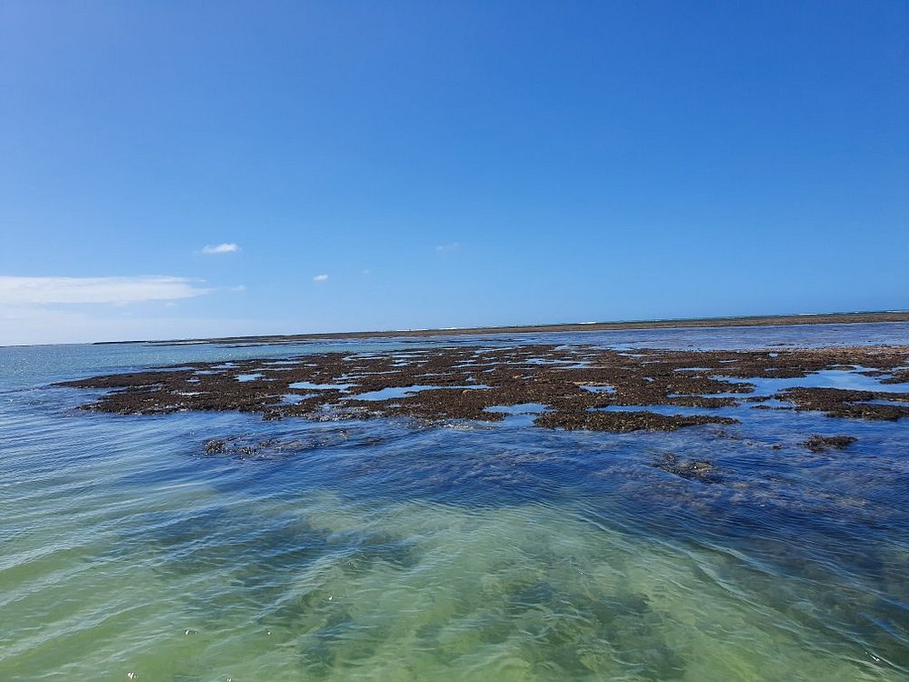 São Miguel dos Milagres 