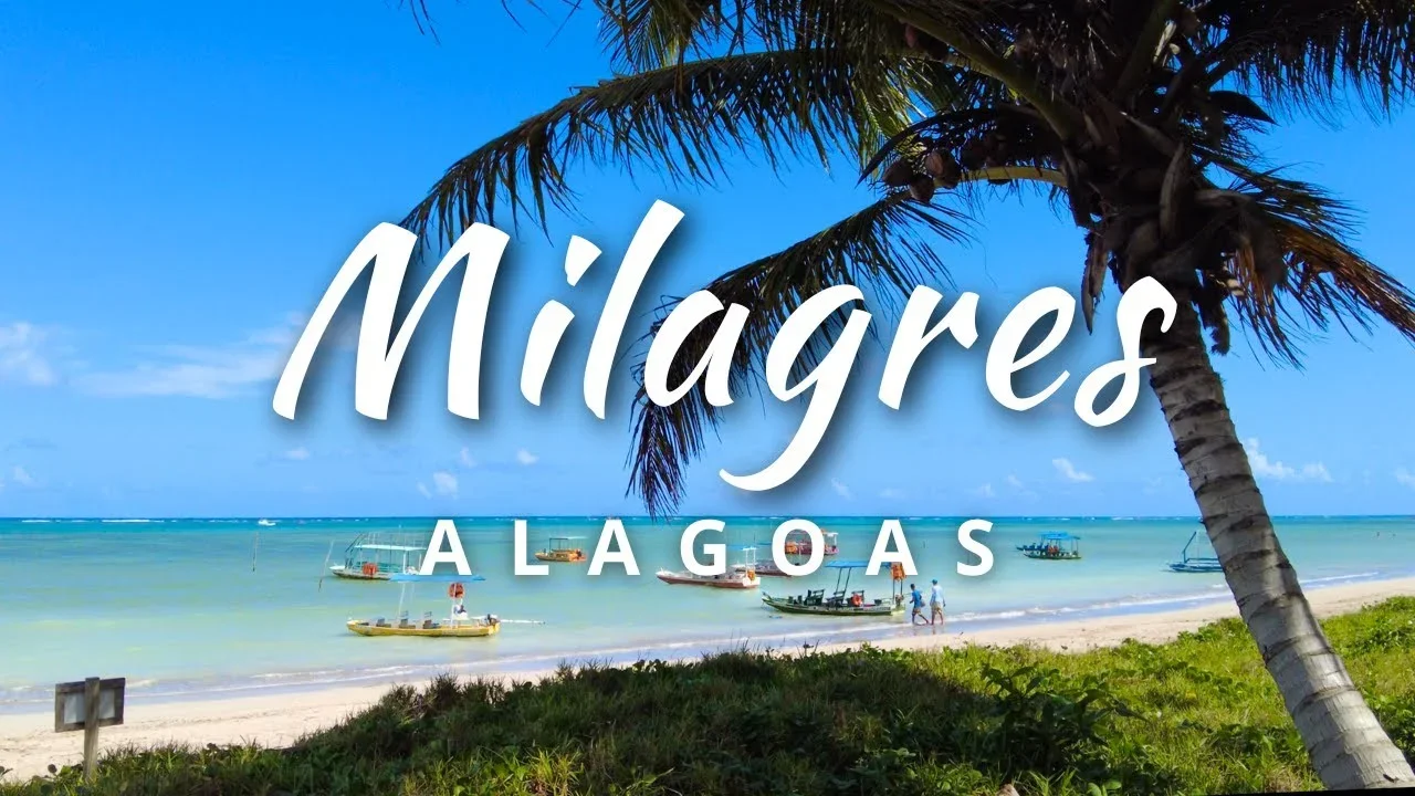 TRANSFER SÃO MIGUEL DOS MILAGRES